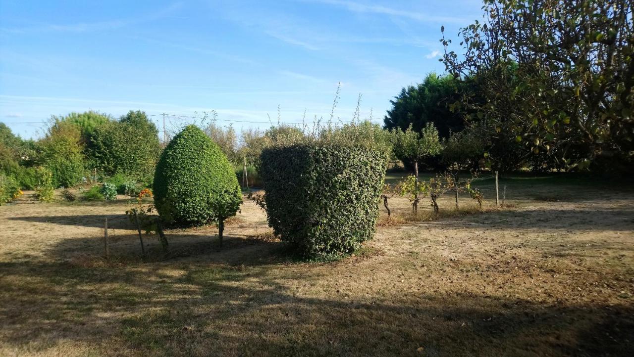 Chambres D'Hotes Du Domaine De Lansac Lansac  Luaran gambar